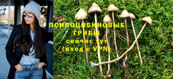 mdpv Снежинск