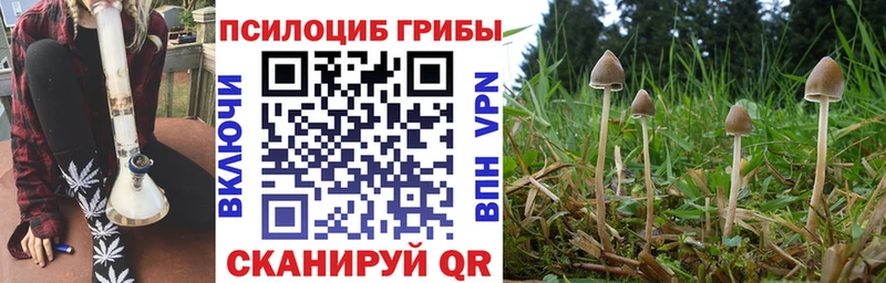 наркотики  Уварово  Галлюциногенные грибы MAGIC MUSHROOMS 