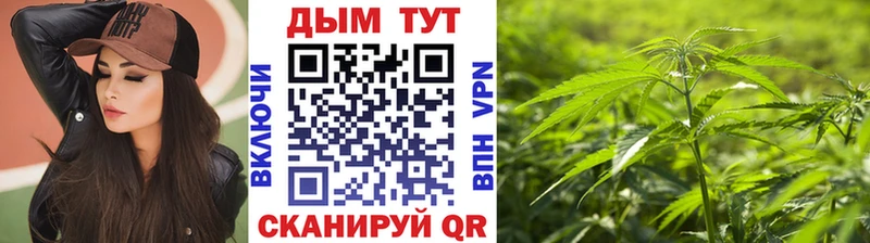 где купить наркоту  кракен ССЫЛКА  Бошки марихуана White Widow  Уварово 